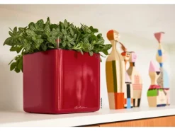 Outlet Lechuza ® Pflanzgefäß Cube Glossy 14 Scarlet highgloss 14 cm x 14 cm Rot