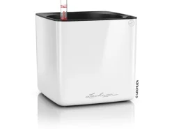 Lechuza Töpfe<® Pflanzgefäß Cube Glossy 16 highgloss 17 cm x 17 cm