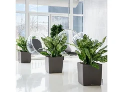 Lechuza ® Pflanzgefäß Cube Premium 50 cm x 50 cm metallic< Töpfe