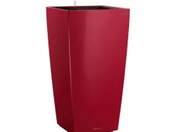 Lechuza ® Pflanzgefäß Cubico Premium 50 cm x 50 cm Scarlet hochglanz< Töpfe