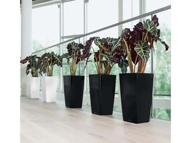 Sale Lechuza ® Pflanzgefäß Cubico Premium 50 cm x 50 cm hochglanz Schwarz