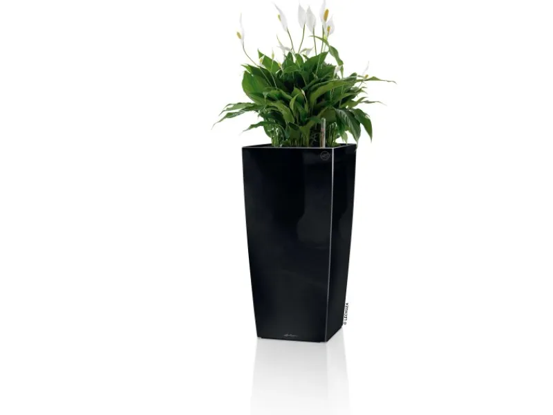 Sale Lechuza ® Pflanzgefäß Cubico Premium 50 cm x 50 cm hochglanz Schwarz