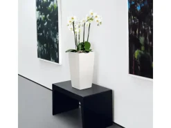 Lechuza ® Pflanzgefäß Cubico Color 22 22 cm x 22 cm< Töpfe