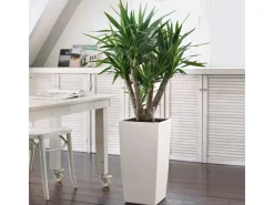 Lechuza Töpfe<® Pflanzgefäß Cubico Color 30 30 cm x 30 cm