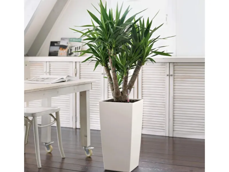Lechuza Töpfe<® Pflanzgefäß Cubico Color 30 30 cm x 30 cm