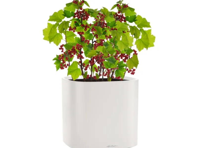 Lechuza Töpfe<® Pflanzgefäß Pila Color Planter 35 cm x 35 cm x 33 cm Licht