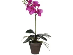 Mica Decorations Kunstpflanze Phalaenopsis im Topf Ø 13 cm x 48 cm< Töpfe
