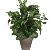 Sale Mica Decorations Kunstpflanze Syngonium im Blumentopf Ø 25 cm x 35 cm Grün