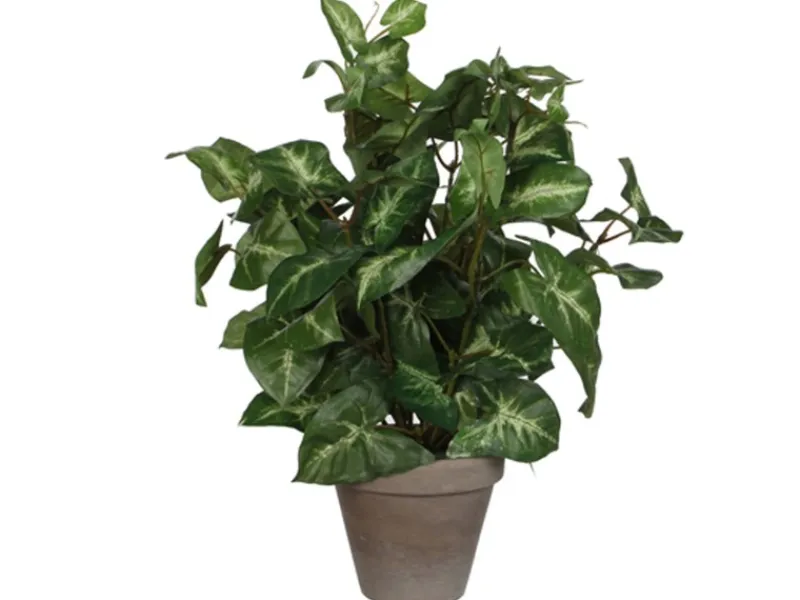 Sale Mica Decorations Kunstpflanze Syngonium im Blumentopf Ø 25 cm x 35 cm Grün