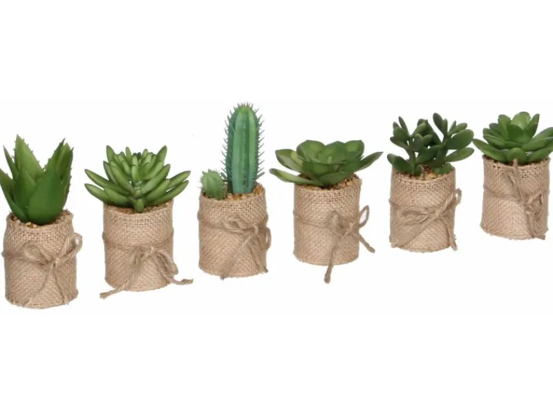 Mica Decorations Töpfe<Kunstpflanze Sukkulente Sortenauswahl im Topf Ø 5 x 12 cm Grün