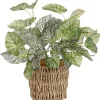Mica Decorations Töpfe<Kunstpflanze Begonie im Korb Ø 12 cm x 33 cm