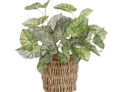 Mica Decorations Töpfe<Kunstpflanze Begonie im Korb Ø 12 cm x 33 cm