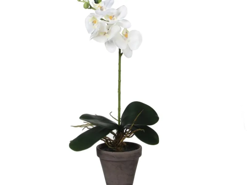 Sale Mica Decorations Kunstpflanze Phalaenopsis im Topf Ø 13 cm x 48 cm Weiß