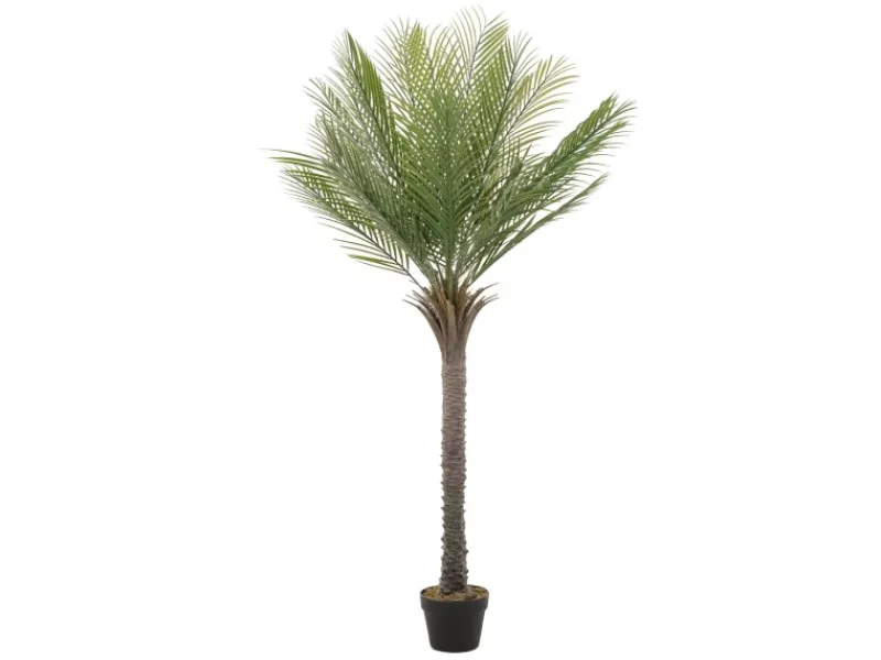 ML-Design Töpfe<Künstliche Palme 150 cm Groß Tropische Kunstpalme im Topf