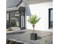 ML-Design Töpfe<Künstliche Palme 150 cm Groß Tropische Kunstpalme im Topf