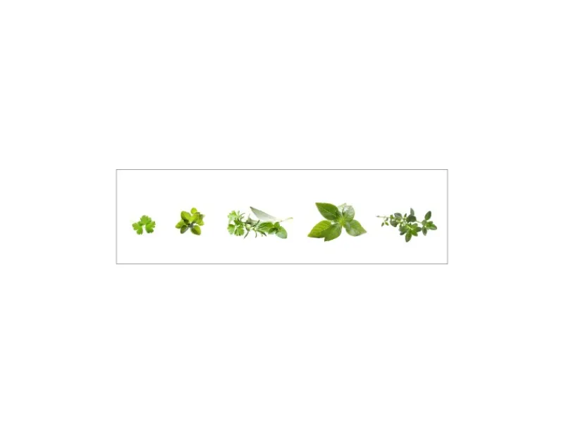 MySpotti Küchenrückwand Profix Cucina Kräuter 210 x 60 cm Minzgrün< Küchenrückwände