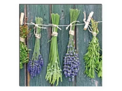 Discount MySpotti Küchenrückwand Profix Cucina Kräuter Provence 160 x 60 cm Grün-Lila