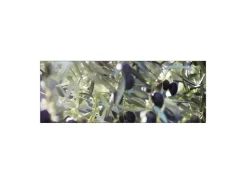 Küchenrückwände<MySpotti Küchenrückwand Profix Cucina Olivenbaum 160 x 60 cm Blau-Grün