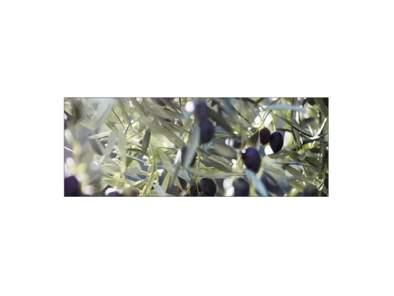 Küchenrückwände<MySpotti Küchenrückwand Profix Cucina Olivenbaum 160 x 60 cm Blau-Grün