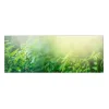 Hot MySpotti Küchenrückwand Profix Cucina Farn 160 x 60 cm Farngrün