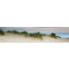MySpotti Küchenrückwand Profix Cucina Dünenpanorama 270 x 60 cm Sanddüne< Küchenrückwände