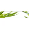 Clearance MySpotti Küchenrückwand Profix Cucina Dew Drop 270 x 60 cm Grasgrün