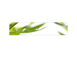 Clearance MySpotti Küchenrückwand Profix Cucina Dew Drop 270 x 60 cm Grasgrün