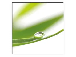 Clearance MySpotti Küchenrückwand Profix Cucina Dew Drop 270 x 60 cm Grasgrün