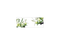 MySpotti Küchenrückwand Profix Cucina Olivenzweig 160 x 60 cm Olivgrün< Küchenrückwände|Kochfelder
