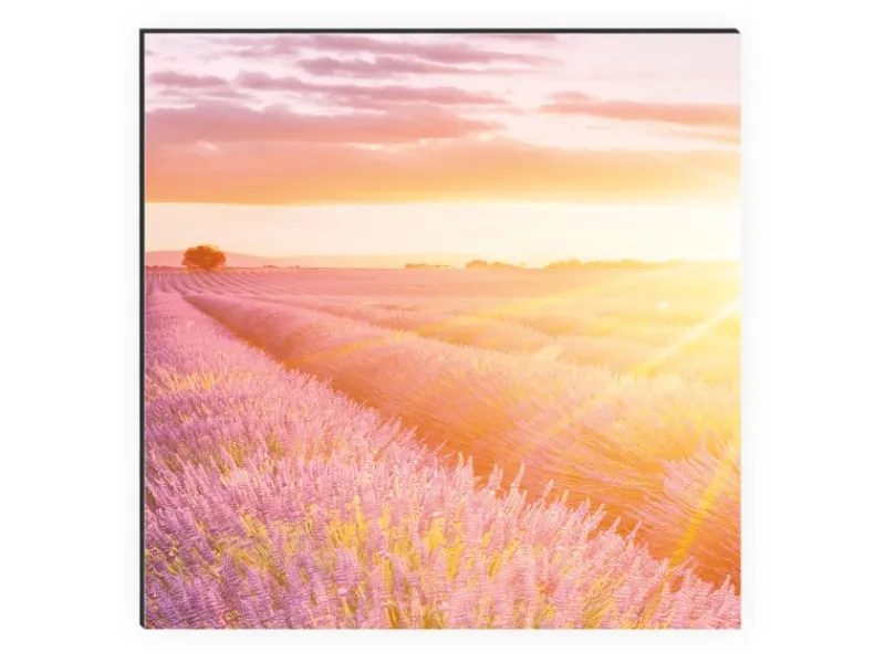 New MySpotti Küchenrückwand Profix Cucina Provence 160 x 60 cm Lavendelviolett