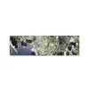 MySpotti Küchenrückwand Profix Cucina Olivenbaum 210 x 60 cm Violettfarben< Küchenrückwände