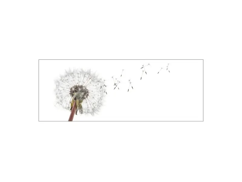 MySpotti Küchenrückwand Profix Cucina Dandelion 160 x 60 cm Weiß-Schwarz< Küchenrückwände
