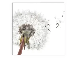 MySpotti Küchenrückwand Profix Cucina Dandelion 160 x 60 cm Weiß-Schwarz< Küchenrückwände