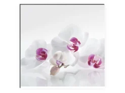 MySpotti Küchenrückwand Profix Cucina Orchidee 270 x 60 cm Lila-Weiß< Küchenrückwände