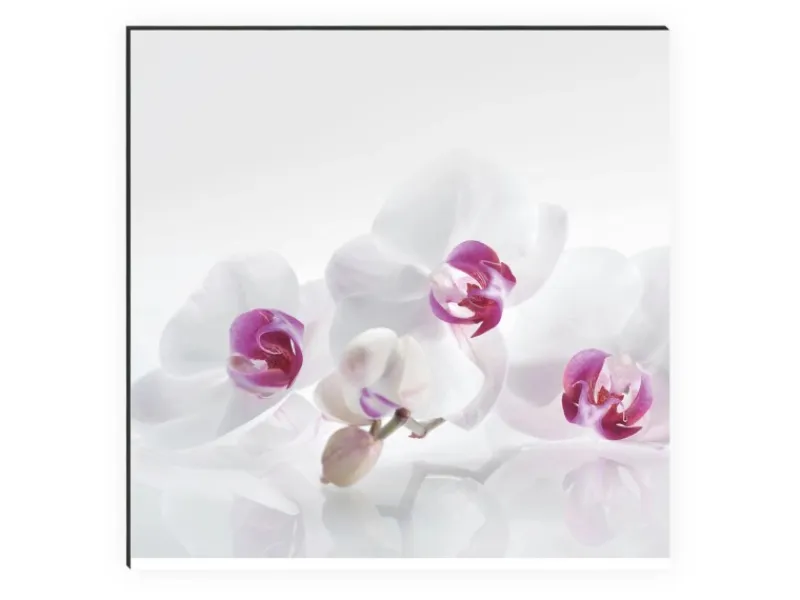 MySpotti Küchenrückwand Profix Cucina Orchidee 270 x 60 cm Lila-Weiß< Küchenrückwände