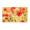 MySpotti Küchenrückwand Profix Cucina Mohnet 100 x 60 cm Mohnblüte< Küchenrückwände
