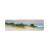 Küchenrückwände<MySpotti Küchenrückwand Profix Cucina Dünenpanorama 210 x 60 cm Sanddüne