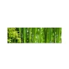 Küchenrückwände<MySpotti Küchenrückwand Profix Cucina Bambus 210 x 60 cm Grasgrün