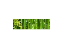 Küchenrückwände<MySpotti Küchenrückwand Profix Cucina Bambus 210 x 60 cm Grasgrün