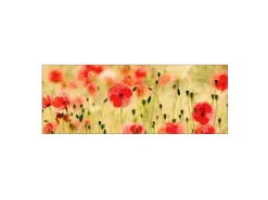 Küchenrückwände<MySpotti Küchenrückwand Profix Cucina Mohnet 160 x 60 cm Mohnblüte