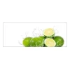 New MySpotti Küchenrückwand Profix Cucina Aqua Limette 160 x 60 cm Limettengrün