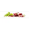 Discount MySpotti Küchenrückwand Profix Cucina Herbs und Spice 270 x 60 cm Paprika