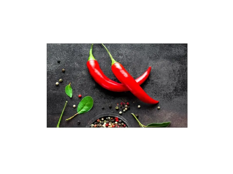 Küchenrückwände<MySpotti Küchenrückwand Profix Cucina Hot Chilli 100 x 60 cm Rote Paprika