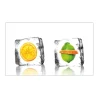 Küchenrückwände<MySpotti Küchenrückwand Profix Cucina Eisfrüchte 100 x 60 cm Kristallklar