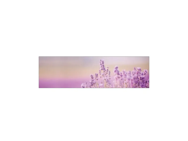 Discount MySpotti Küchenrückwand Profix Cucina Lavendelhügel 210 x 60 cm Lila