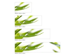 MySpotti Küchenrückwand Profix Cucina Dew Drop 160 x 60 cm Grasgrün< Küchenrückwände
