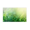 MySpotti Küchenrückwand Profix Cucina Farn 100 x 60 cm Grün< Küchenrückwände