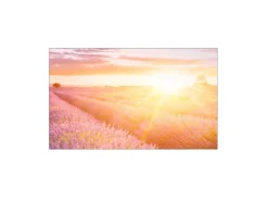 Sale MySpotti Küchenrückwand Profix Cucina Provence 100 x 60 cm Lila Mix