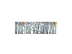 Discount MySpotti Küchenrückwand Profix Cucina Birkenwald 210 x 60 cm Birke-Weiß