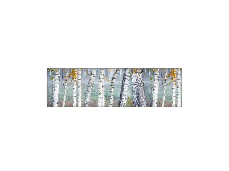 Discount MySpotti Küchenrückwand Profix Cucina Birkenwald 210 x 60 cm Birke-Weiß
